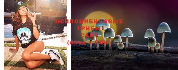 крисы Алексин