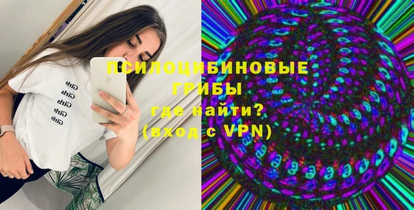 крисы Алексин