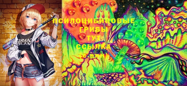 spice Алексеевка