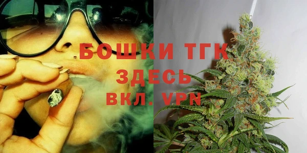 крисы Алексин