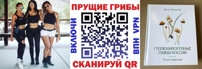 Галлюциногенные грибы Psilocybe  kraken ССЫЛКА  Беломорск 